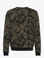Timberland - SWEATSHIRT - sweatshirts & kapuzenpullover - khaki - 1