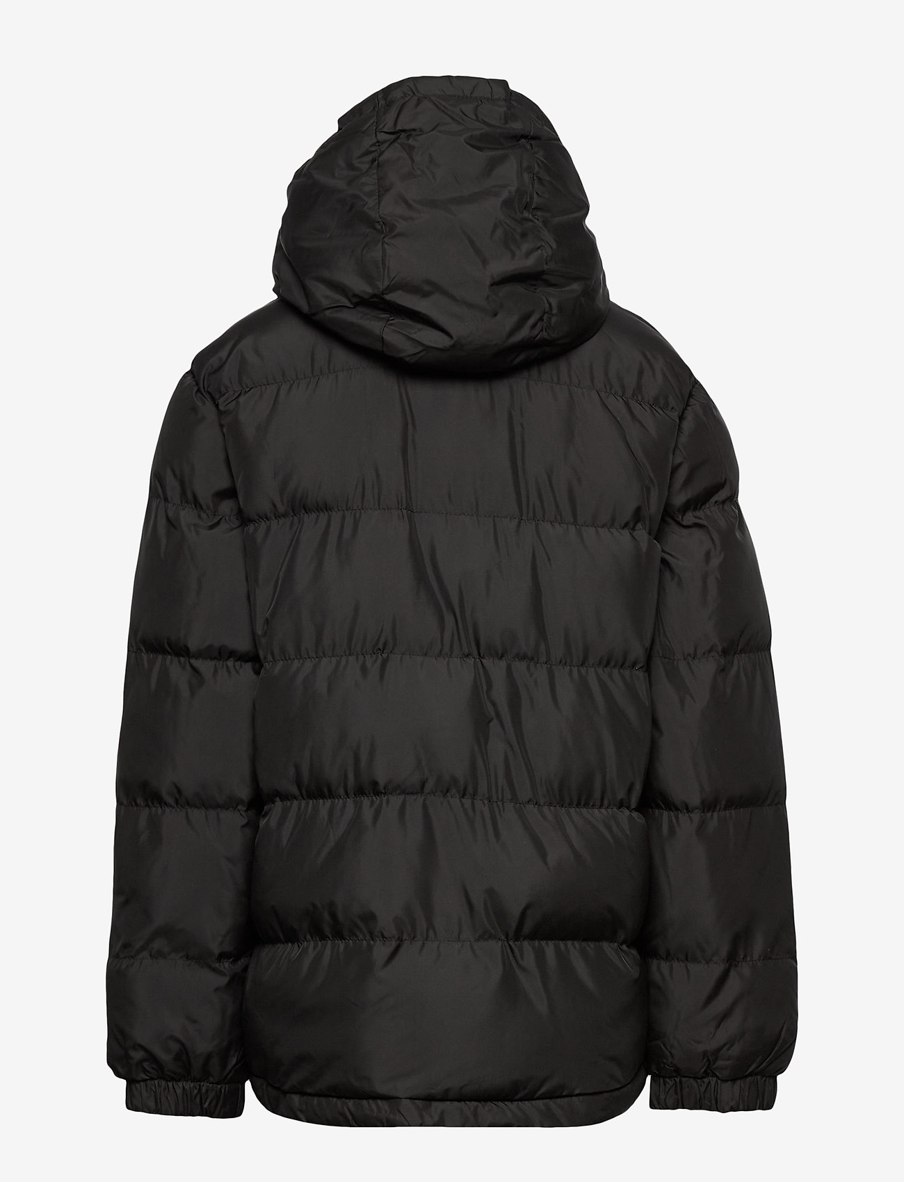 Timberland - PUFFER JACKET - black - 3