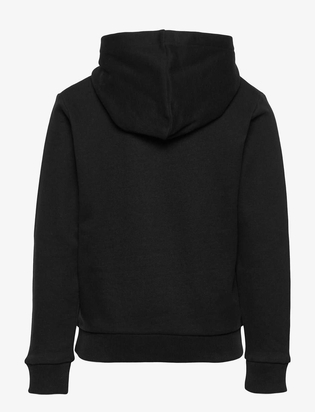 Timberland - HOODED SWEATSHIRT - black - 1