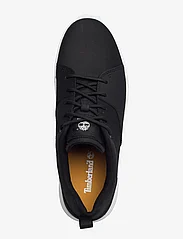 Timberland - Maple Grove LOW LACE UP SNEAKER JET BLACK - lave sneakers - jet black - 3
