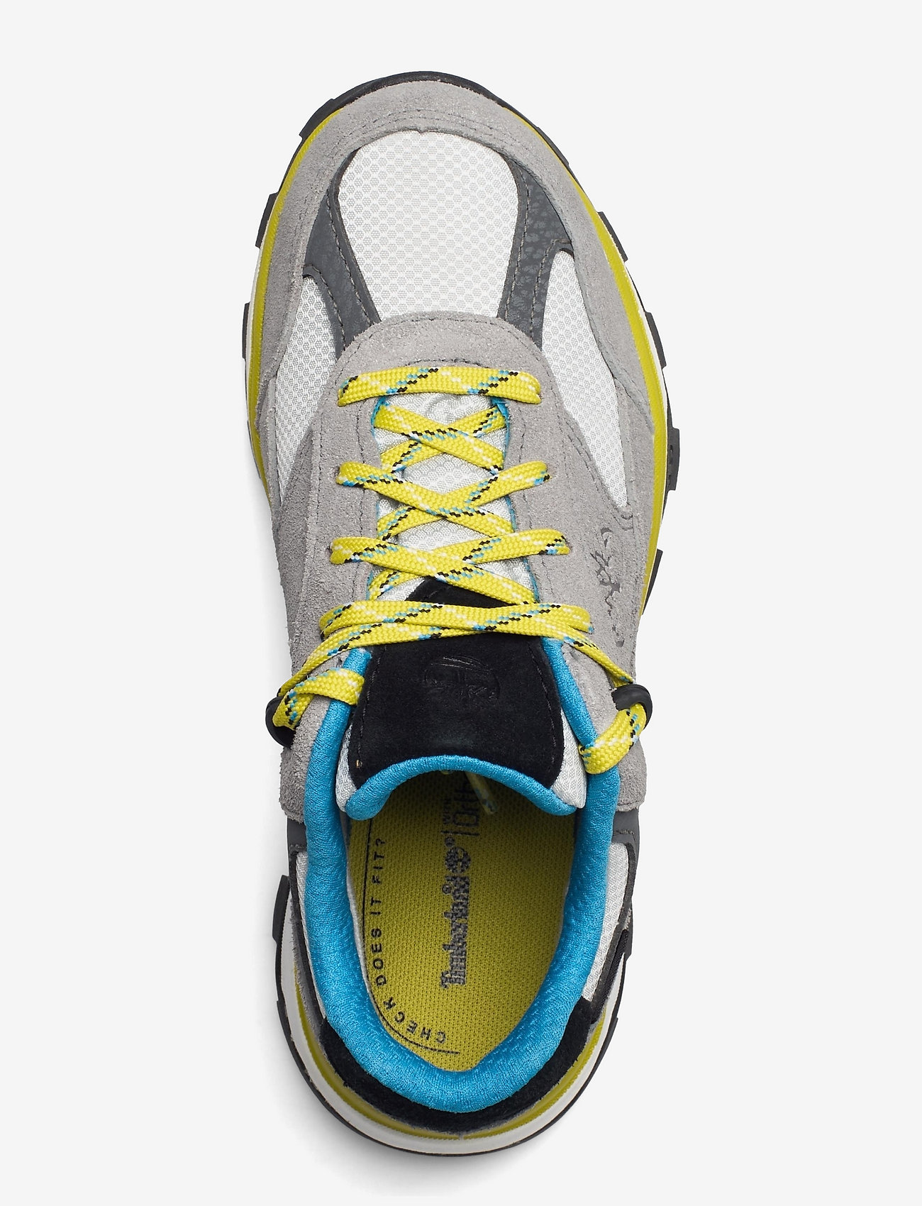 Timberland - Trail Trekker Low GTX - griffin - 3