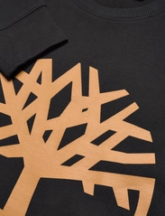 Timberland - KENNEBEC RIVER Tree Logo Crew Neck Sweatshirt BLACK/WHEAT BOOT - collegepaidat - black/wheat boot - 2