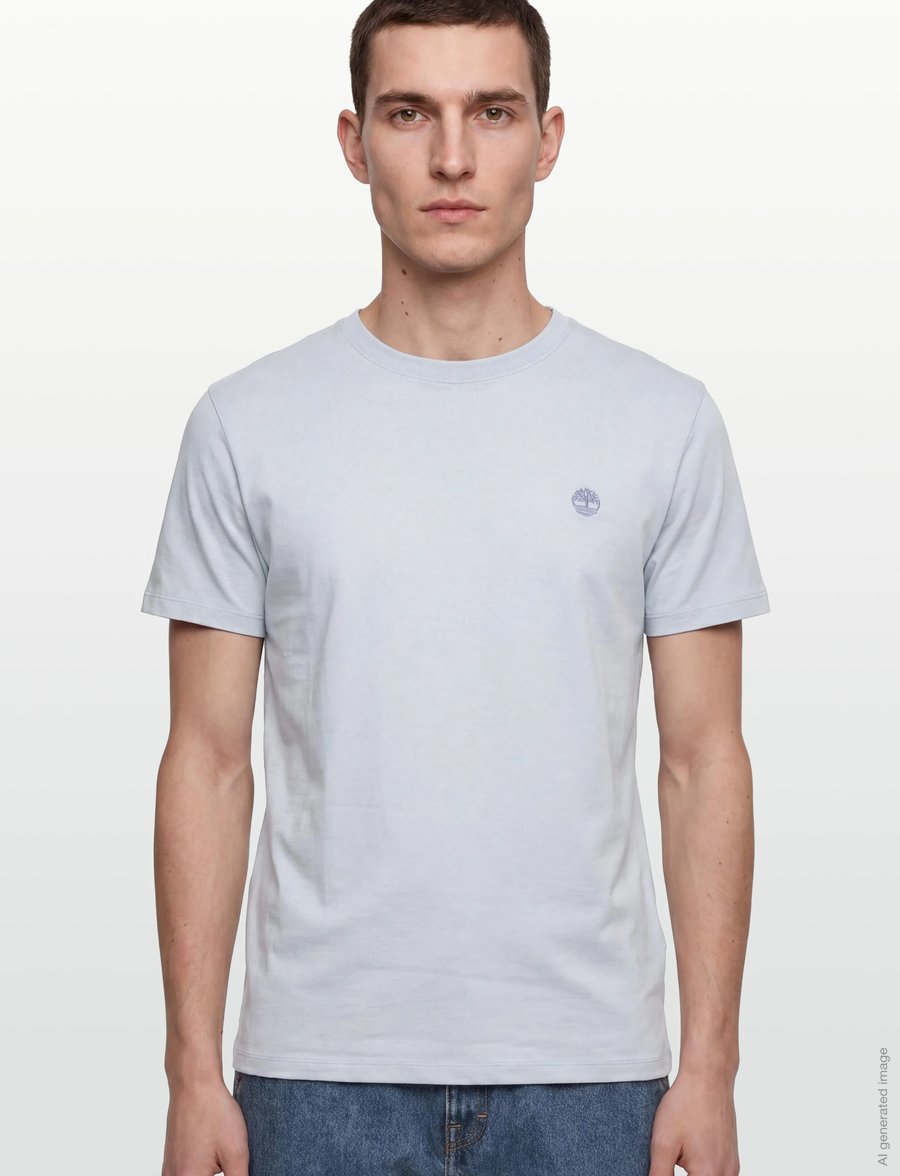 Timberland - DUNSTAN RIVER Short Sleeve Tee GRAY DAWN - kurzärmelig - light blue - 3
