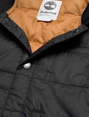 Timberland - CLS Bomber inner - spring jackets - black - 5
