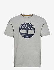 Timberland - KENNEBEC RIVER Tree Logo Short Sleeve Tee MEDIUM GREY HEATHER - najniższe ceny - medium grey heather - 0