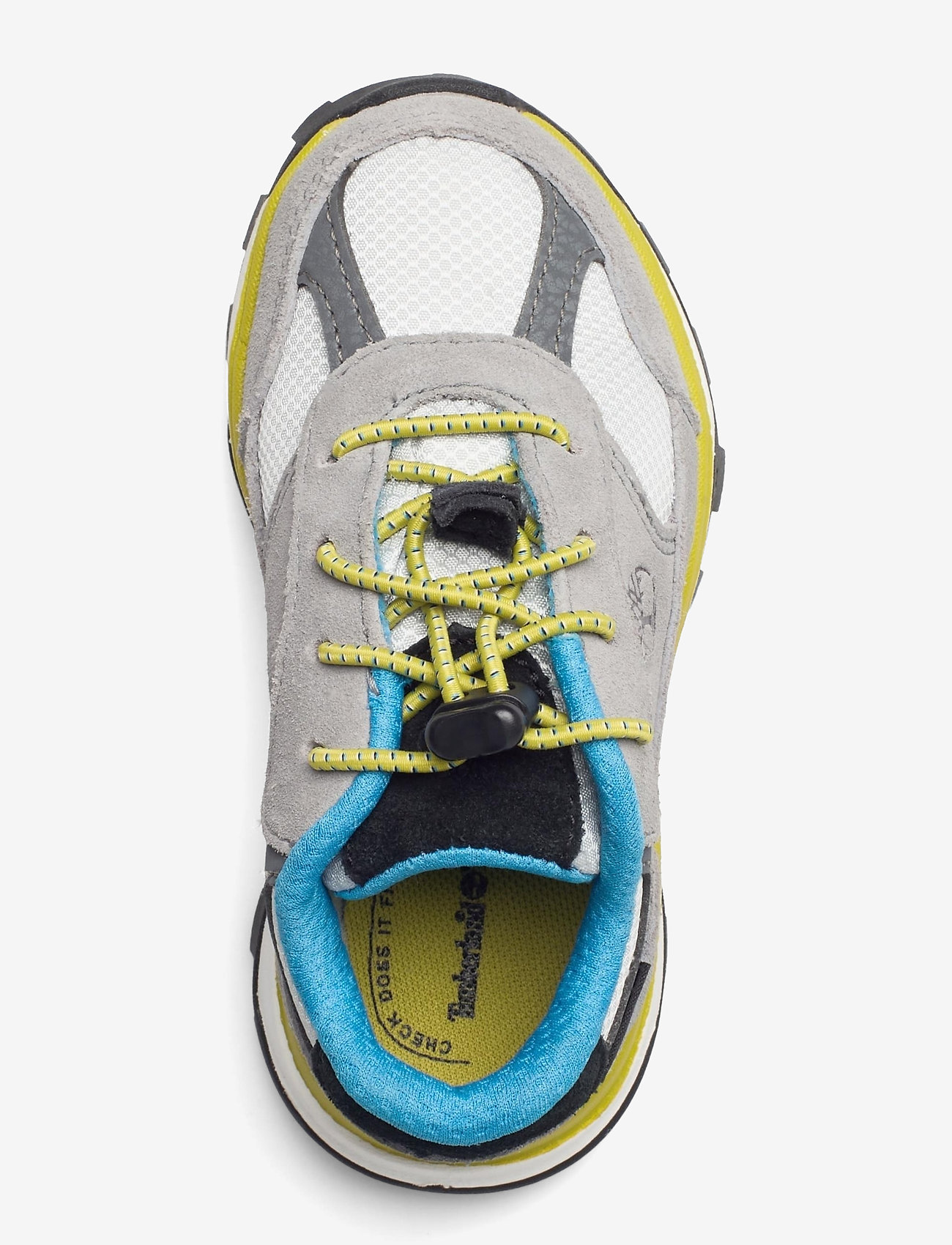 Timberland - Trail Trekker Low GTX - griffin - 3