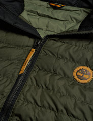 Timberland - Axis Peak Vest CLS - spring jackets - grape leaf - 4