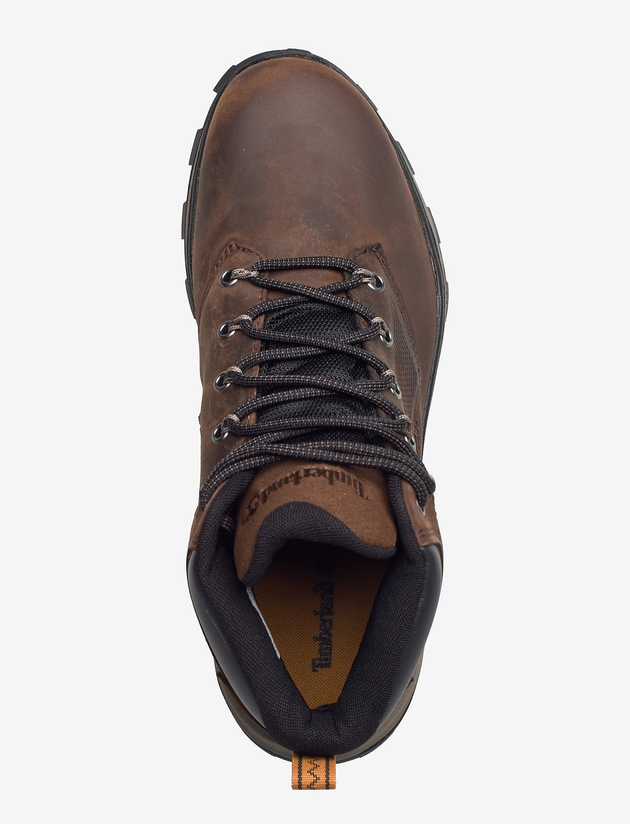 Timberland - Treeline - potting soil - 3