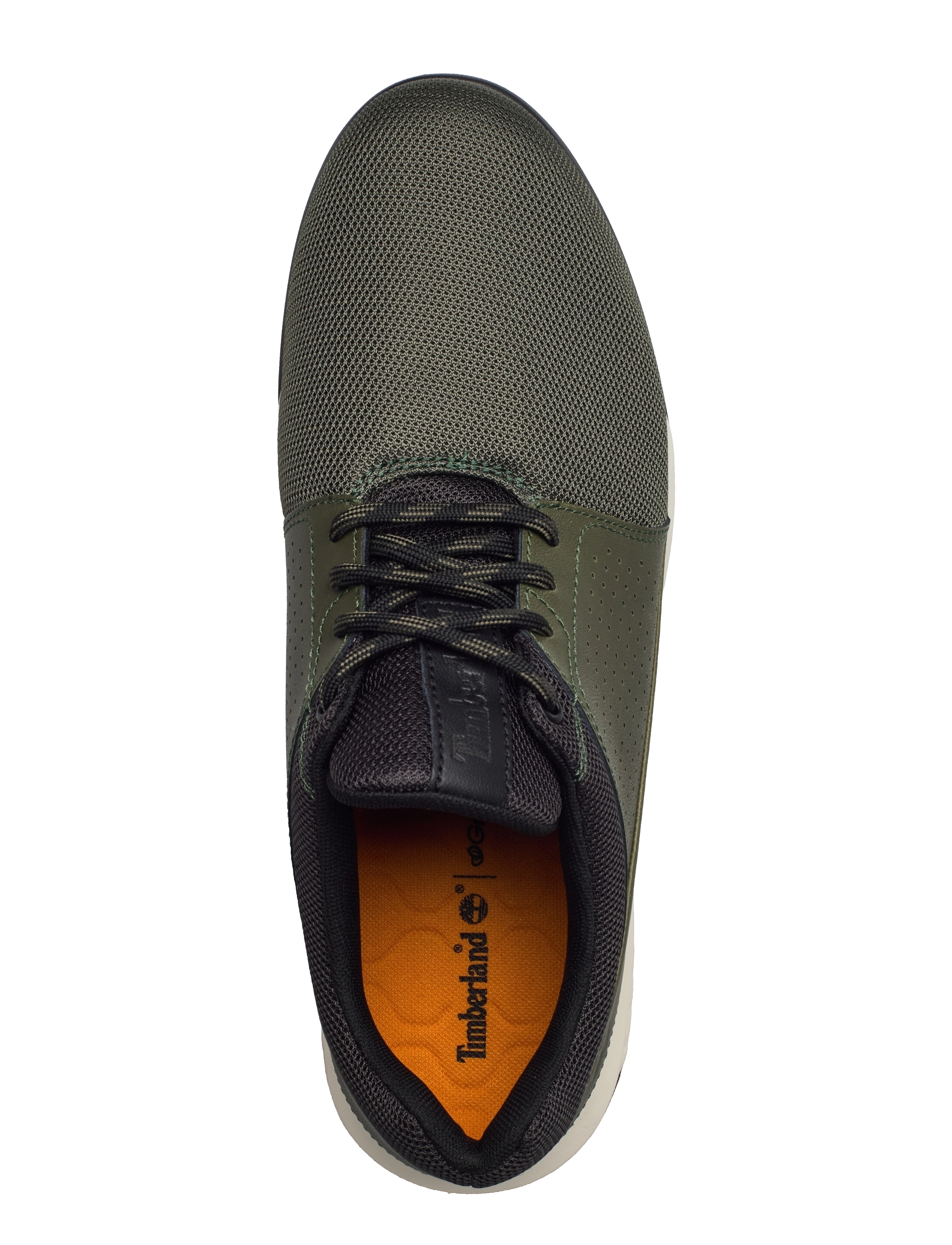 Timberland - Killington Ultra Low F/L Sneaker - grape leaf - 3
