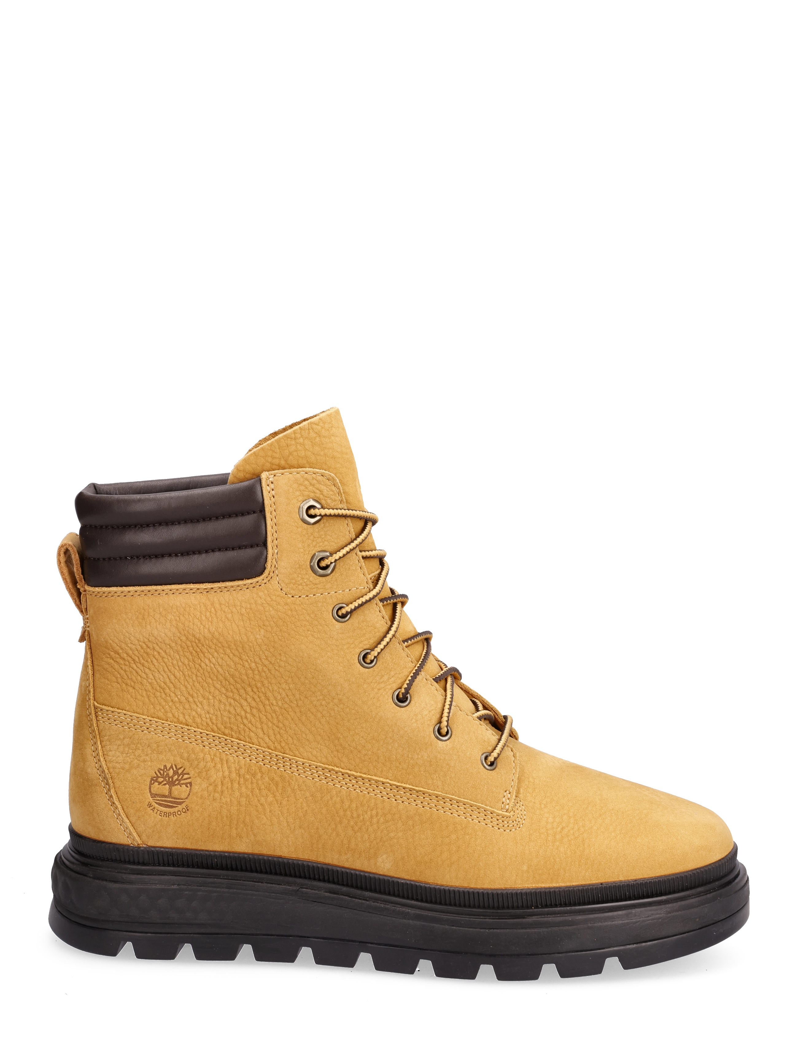 Timberland - Ray City - spruce yellow - 1