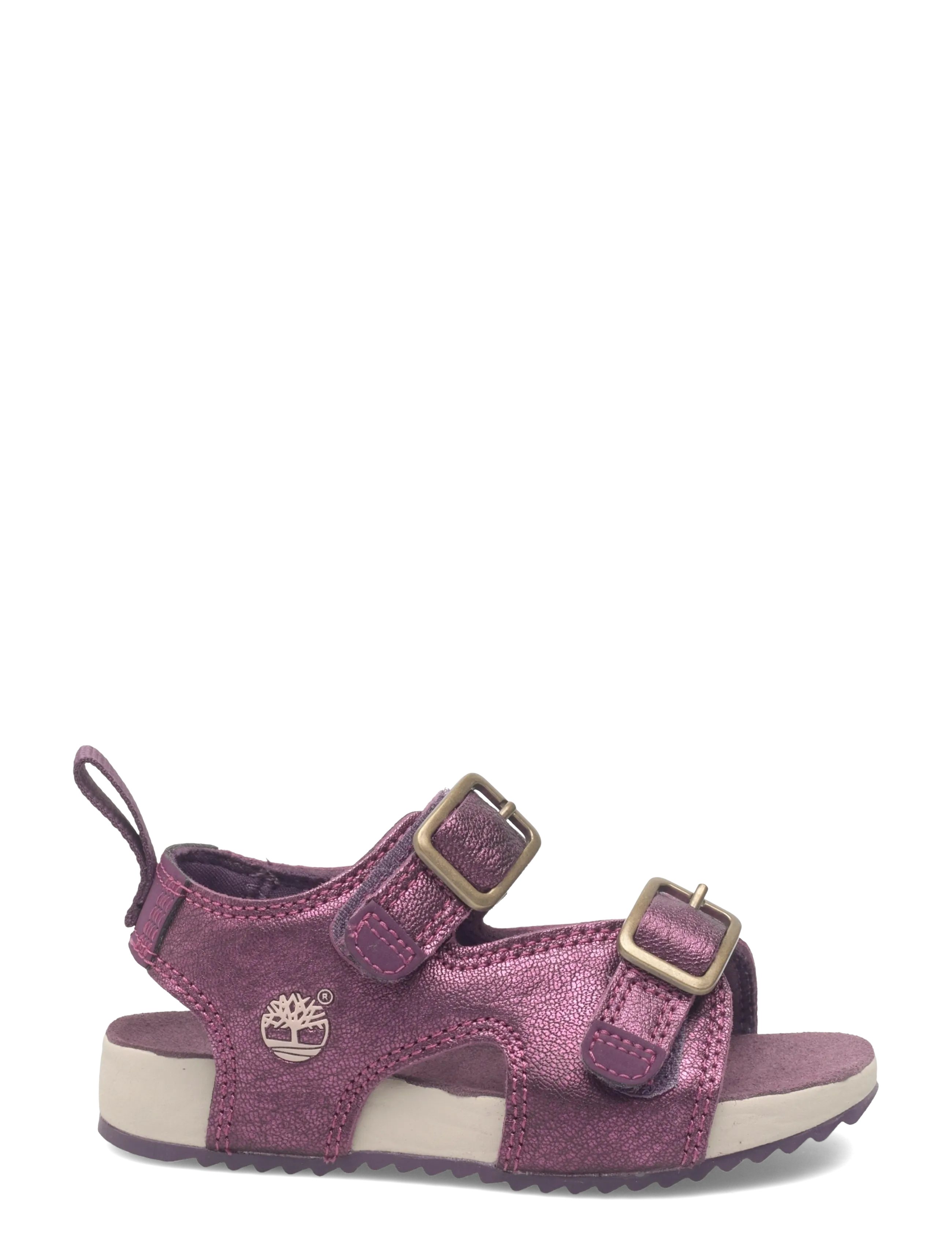 Timberland - BACKSTRAP SANDAL - sandals - bright purple - 1