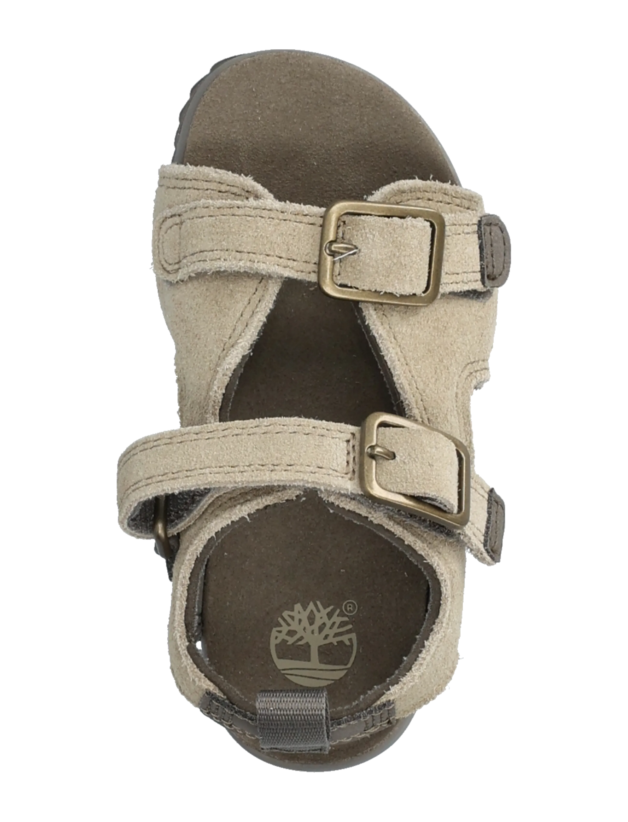 Timberland - BACKSTRAP SANDAL - sandaalid - light beige - 3