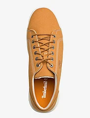 Timberland - Seneca Bay LOW LACE UP SNEAKER SPRUCE YELLOW - low tops - spruce yellow - 3