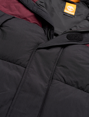 Timberland - Archive Puffer Jkt - winter jackets - portroyal/black - 2