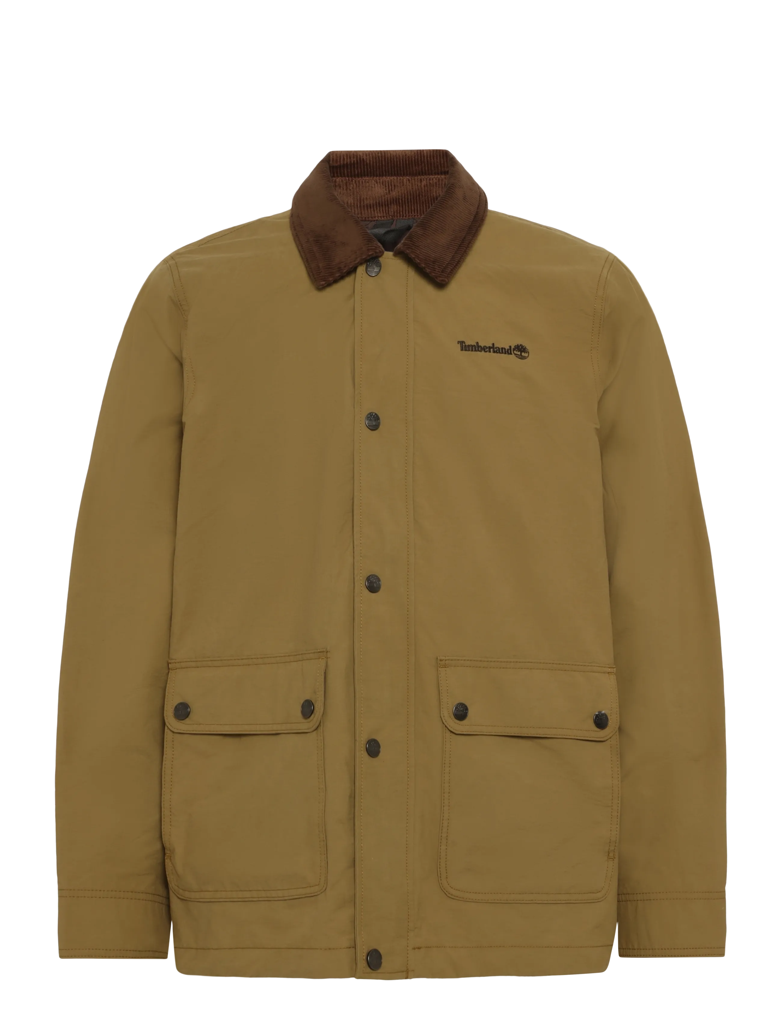 Timberland DWR Field Coat - Osta stiili järgi - ERMINE / khaki/green