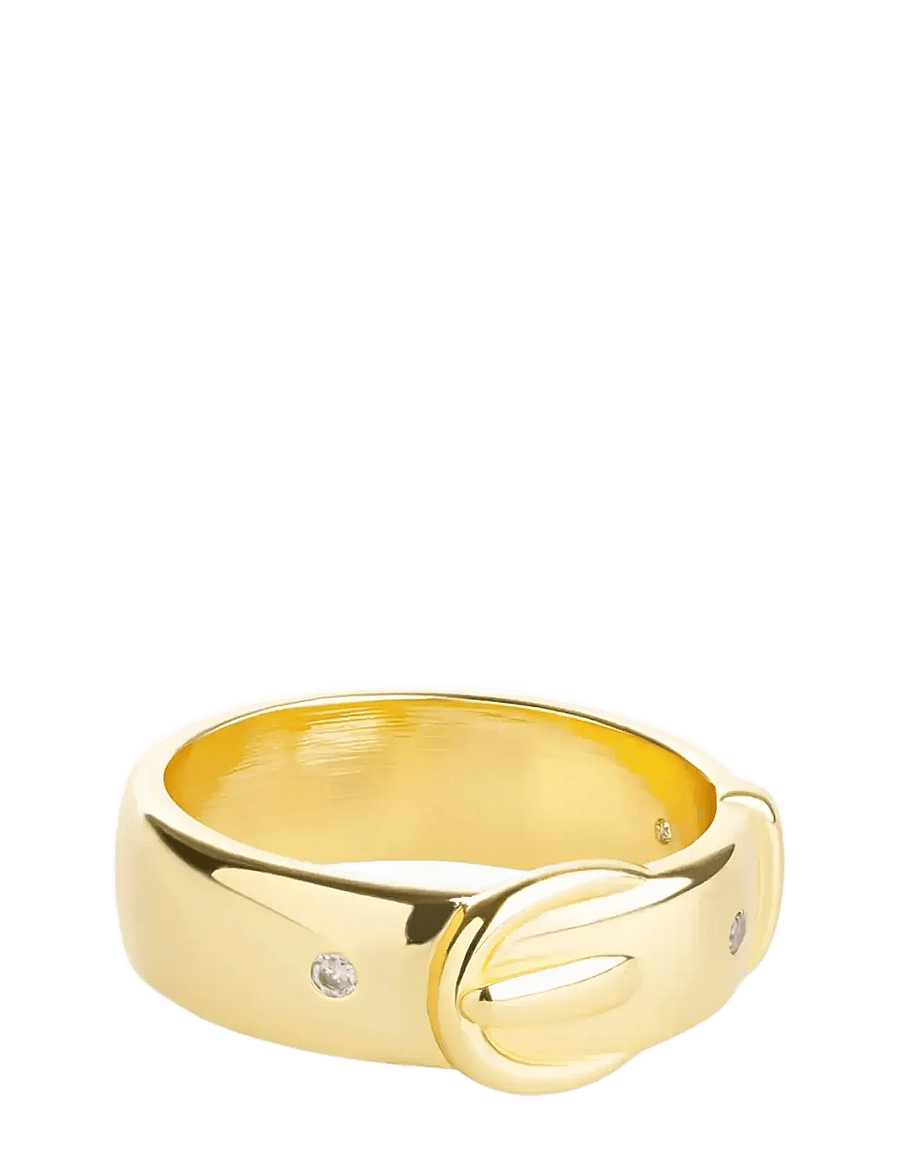 Timi of Sweden - Ayla - Gold Ring Stainless Steel - ringe - gold - 1
