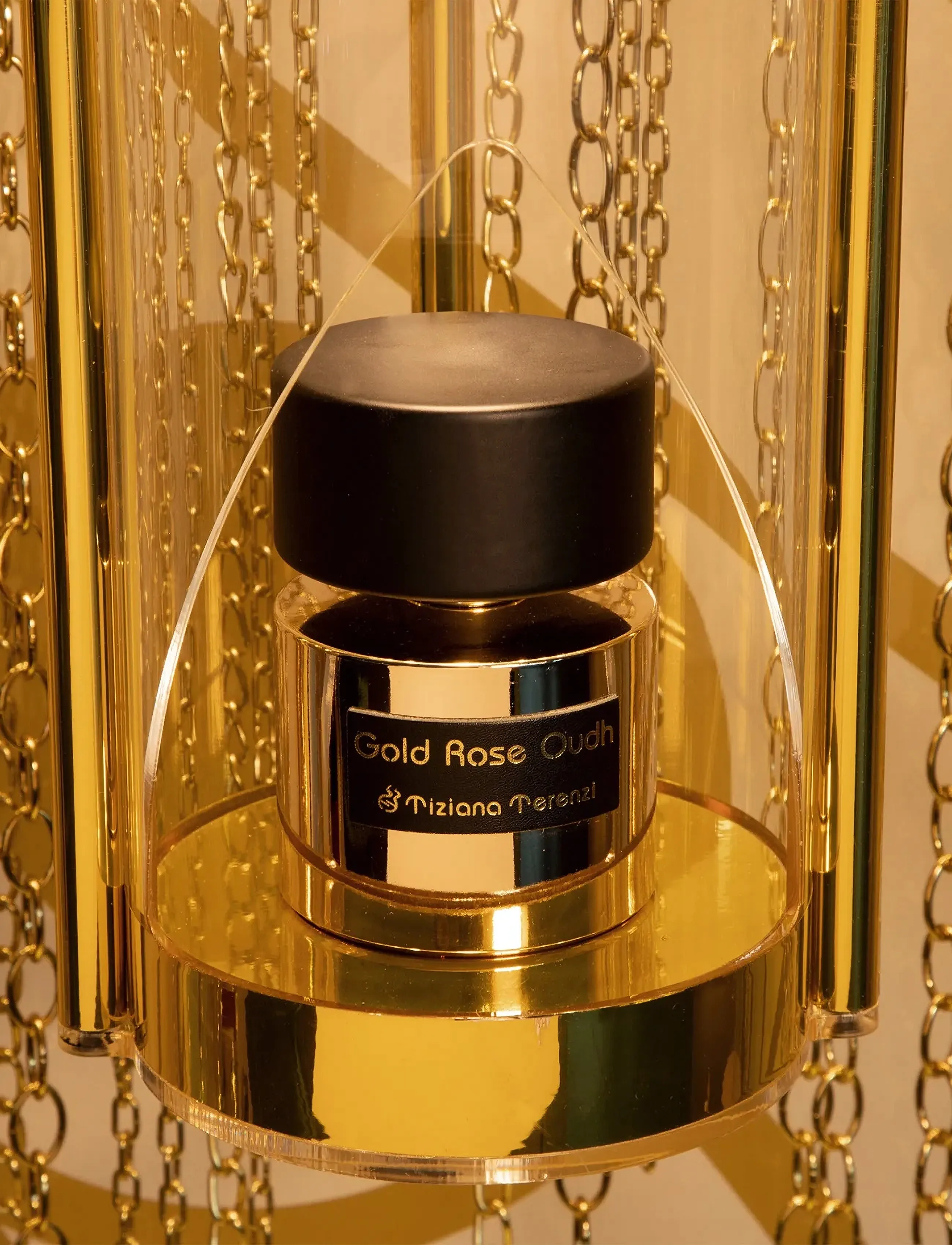 Tiziana Terenzi - TER TIZIANA TERENZI EXTRAIT DE PARFUM 100 ML GOLD ROSE OUDH - til ham  - clear - 4