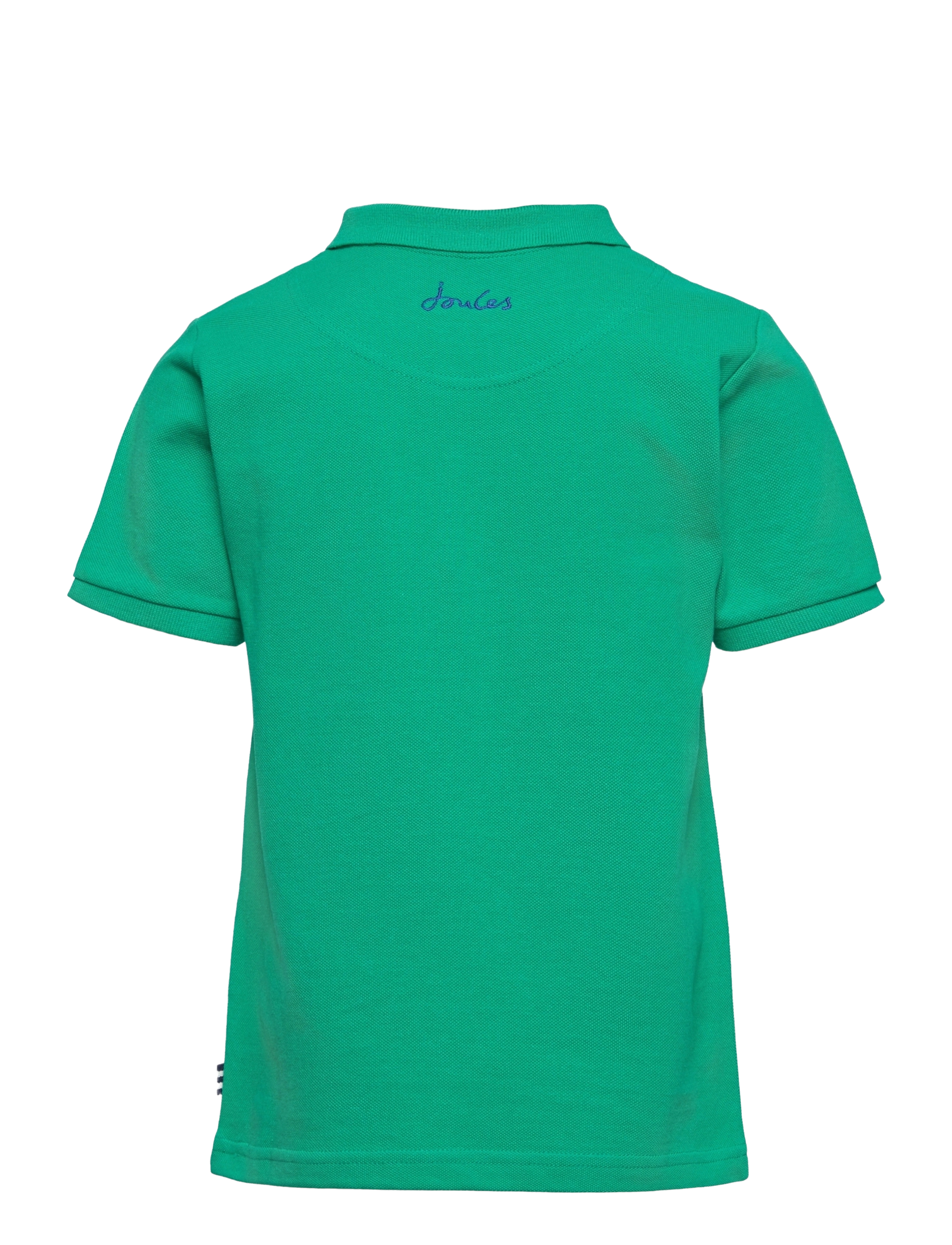 Joules - Woody - parakeet - 1