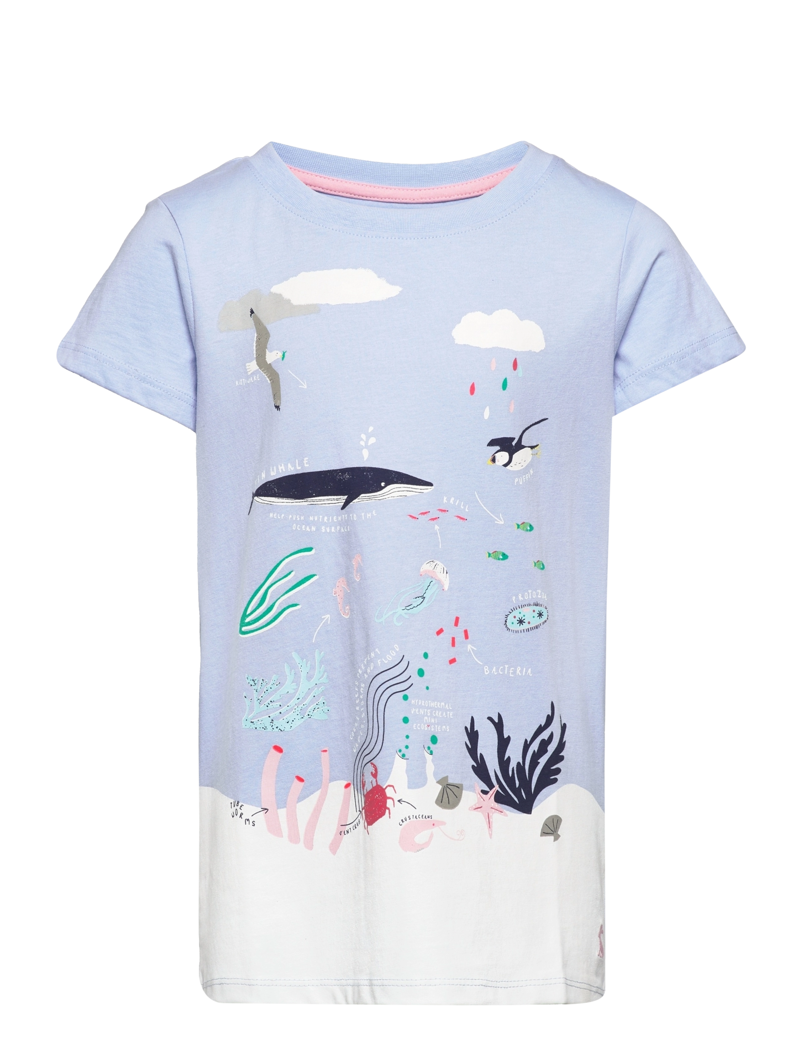 BLUE SEA