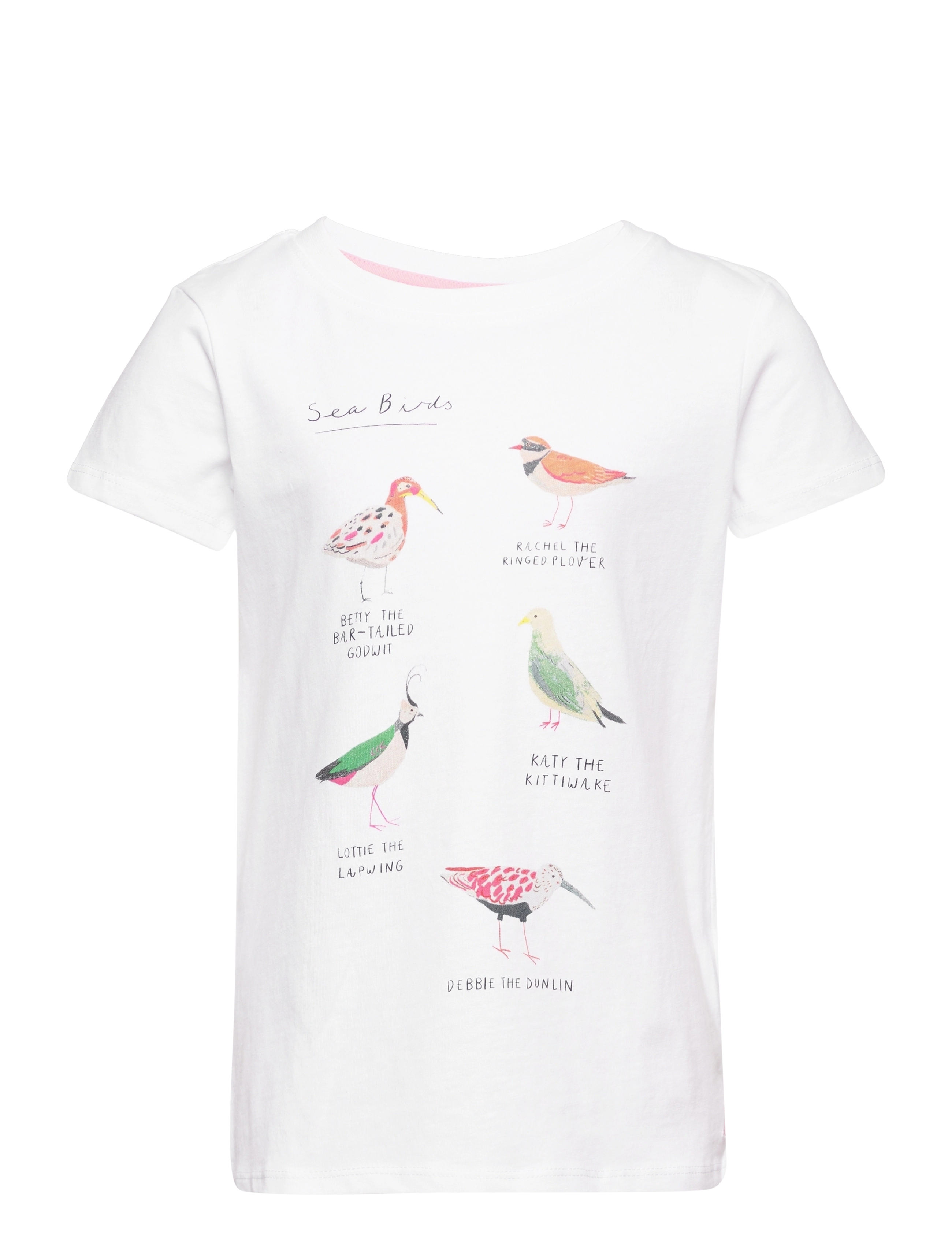 WHITE BIRDS