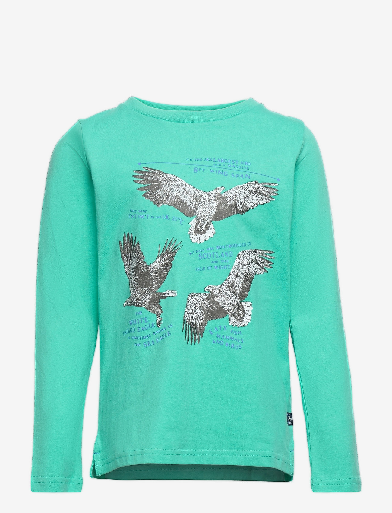 Joules - Finlay - green eagle facts - 0