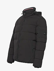 Tom Tailor - puffer jacket - Žieminės striukės - black - 3