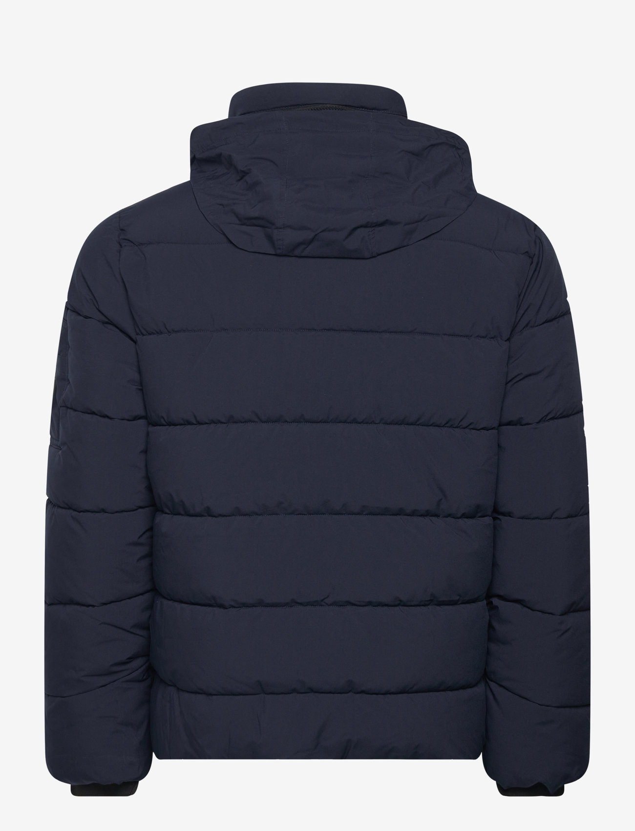 Tom Tailor - puffer jacket - sky captain blue - 2