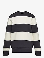 Tom Tailor - striped sweatshirt - džemperi - coal grey - 0