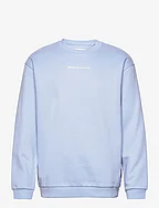 crew neck sweater with print - BRUNNERA BLUE