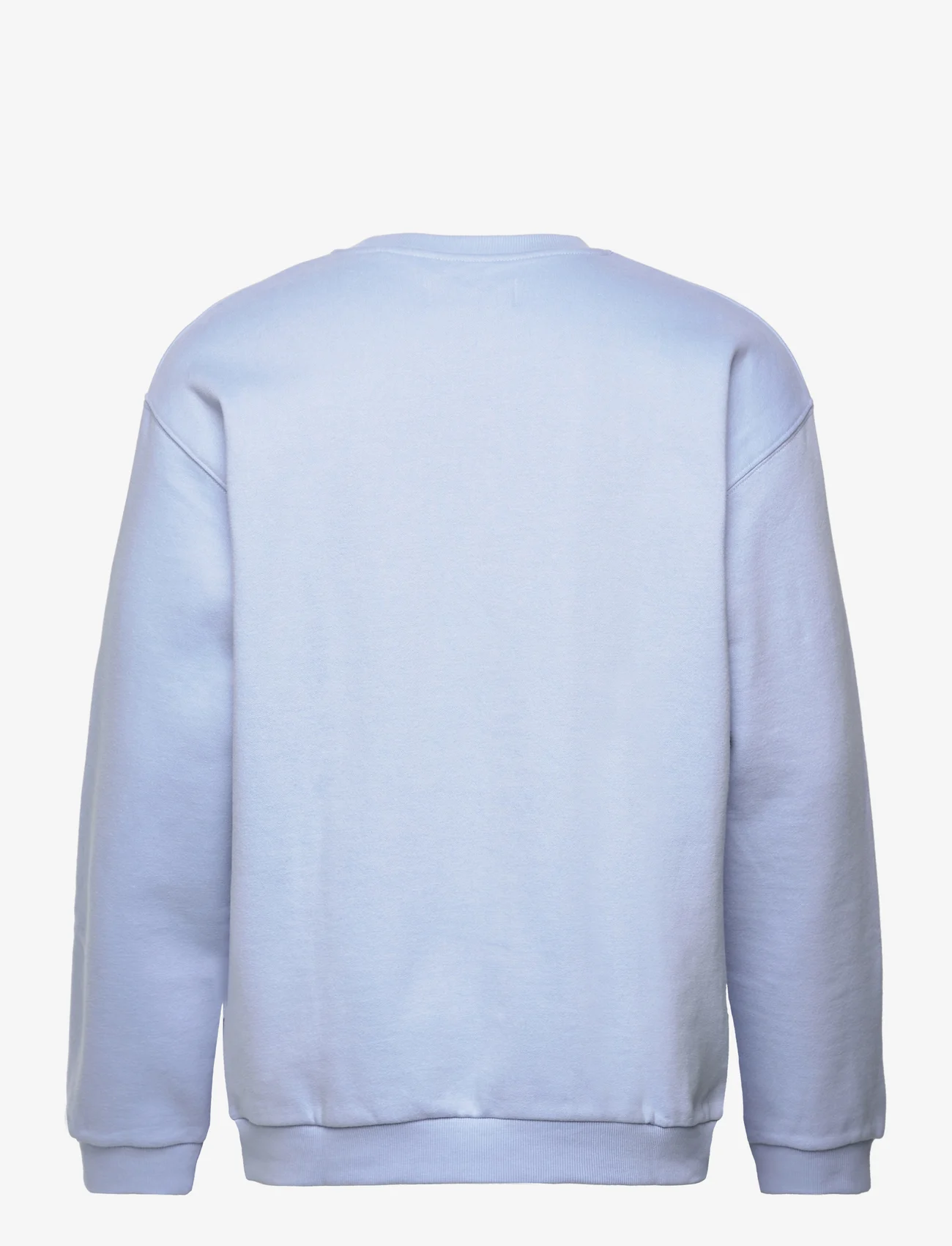 Tom Tailor - crew neck sweater with print - mažiausios kainos - brunnera blue - 1