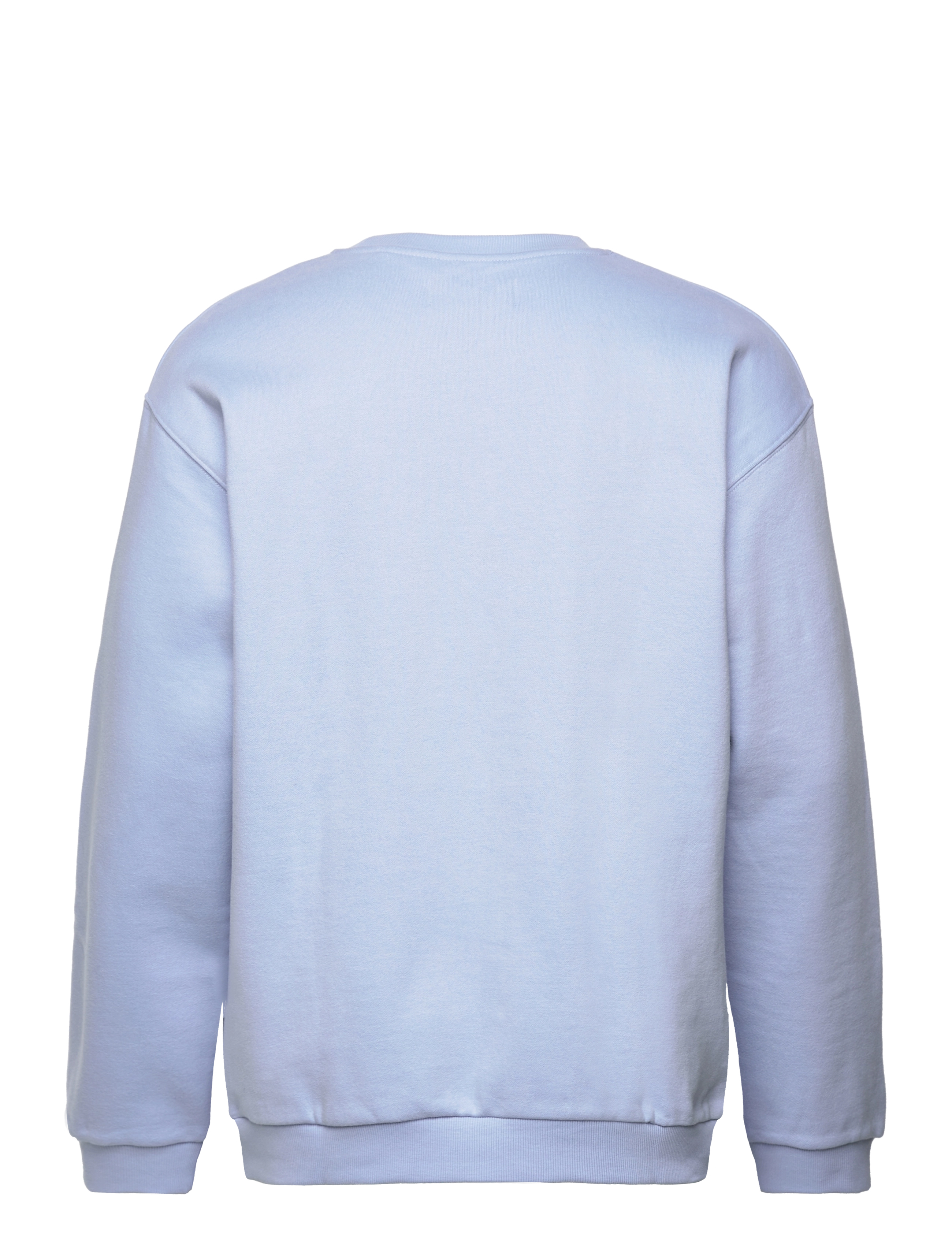Tom Tailor - crew neck sweater with print - brunnera blue - 2