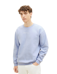 Tom Tailor - crew neck sweater with print - laveste priser - brunnera blue - 2