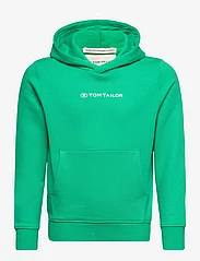 Tom Tailor - printed hoodie - džemperiai su gobtuvu - bright grass green - 0