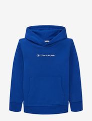 printed hoodie - SHINY ROYAL BLUE