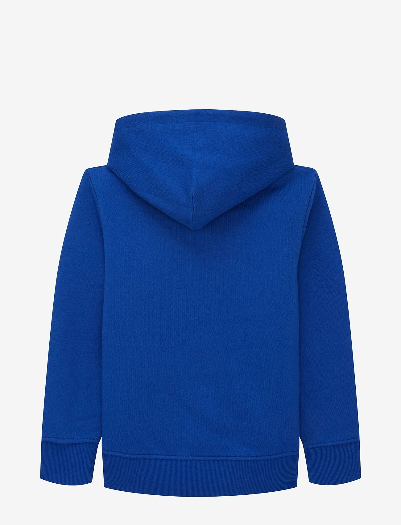 Tom Tailor - printed hoodie - džemperiai su gobtuvu - shiny royal blue - 1