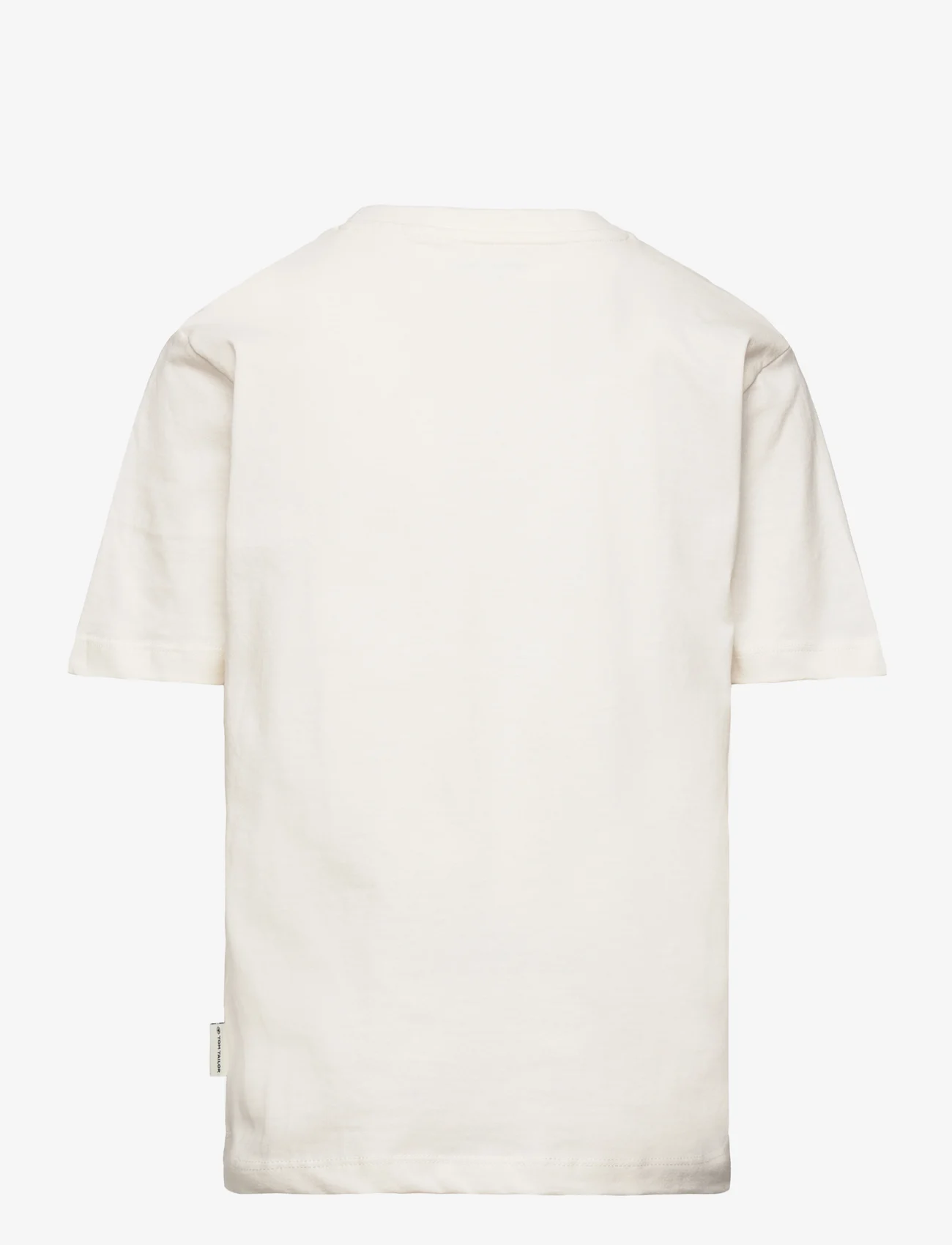 Tom Tailor - regular printed t-shirt - lühikeste varrukatega t-särgid - wool white - 1