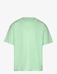 Tom Tailor - oversize printed t-shirt - stutterma bolir - pastel apple green - 0