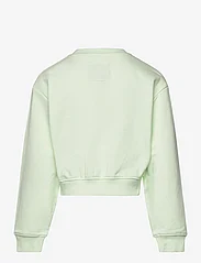 Tom Tailor - cropped printed sweatshirt - mažiausios kainos - pale peppermint - 1