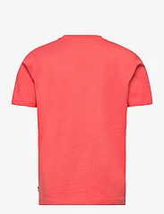 Tom Tailor - printed t-shirt - t-krekli ar īsām piedurknēm - living coral - 1