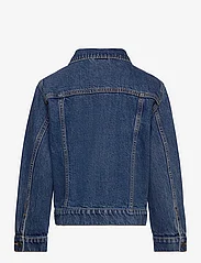 Tom Tailor - denim jacket - die niedrigsten preise - used mid stone blue denim - 1