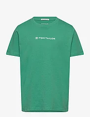 Tom Tailor - printed t-shirt - short-sleeved t-shirts - light fern green - 0