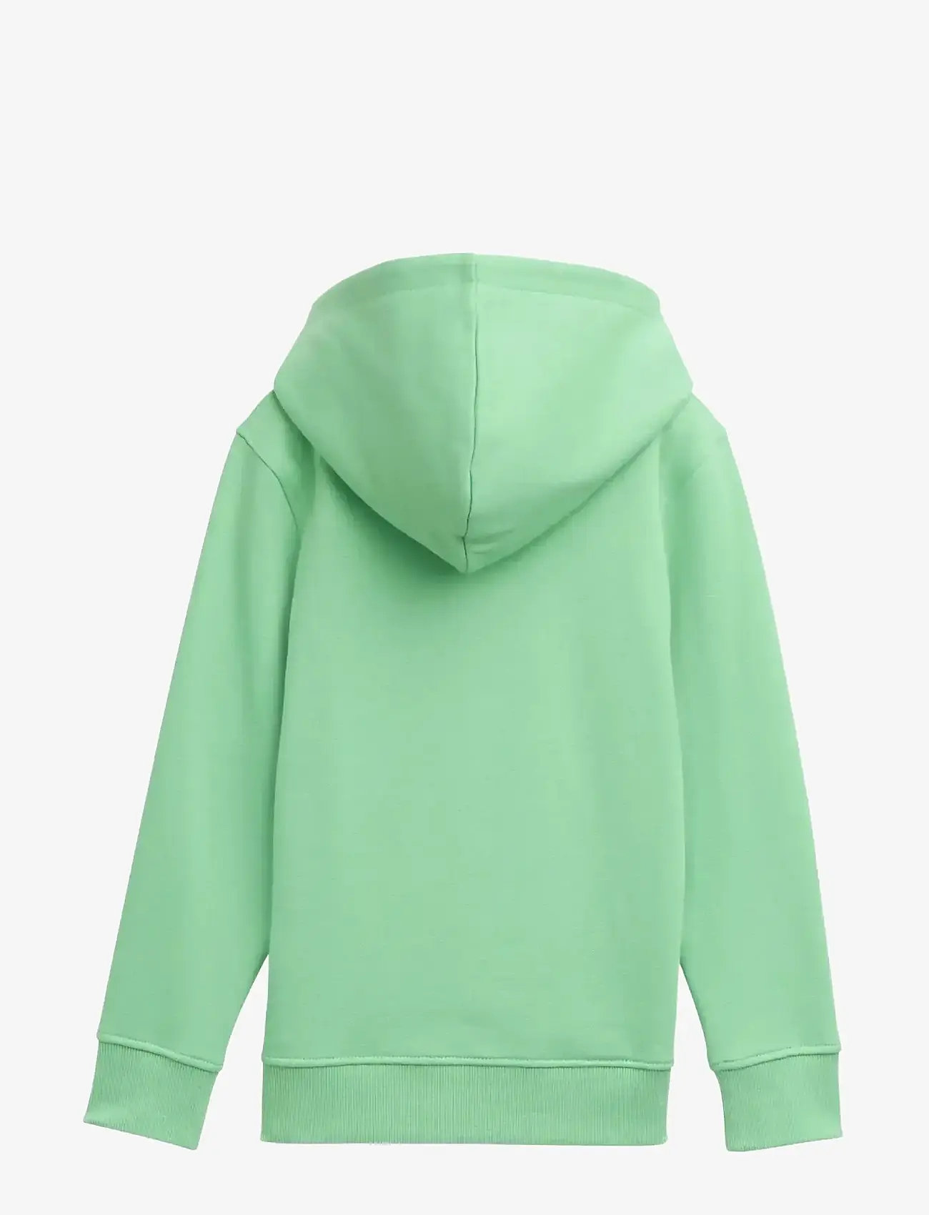 Tom Tailor - printed hoody - kapuzenpullover - fresh leaf green - 1
