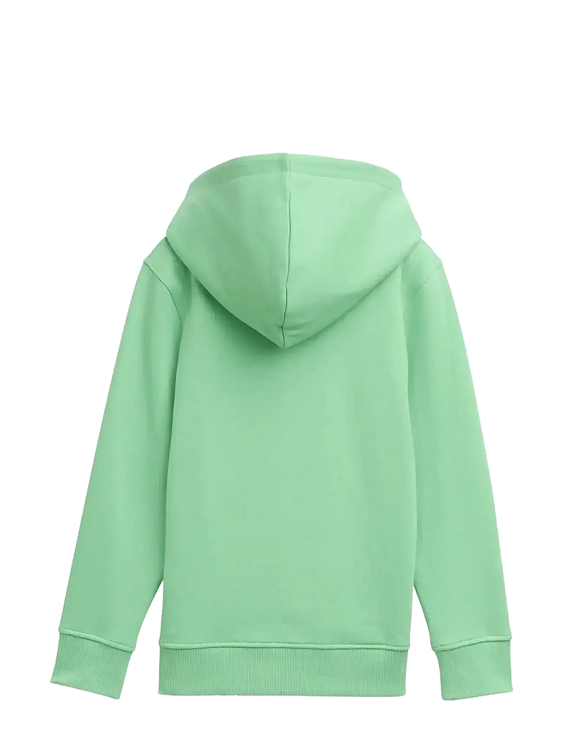 Tom Tailor - printed hoody - kapuzenpullover - fresh leaf green - 1