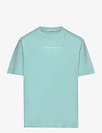 regular printed t-shirt - PASTEL TURQUOISE
