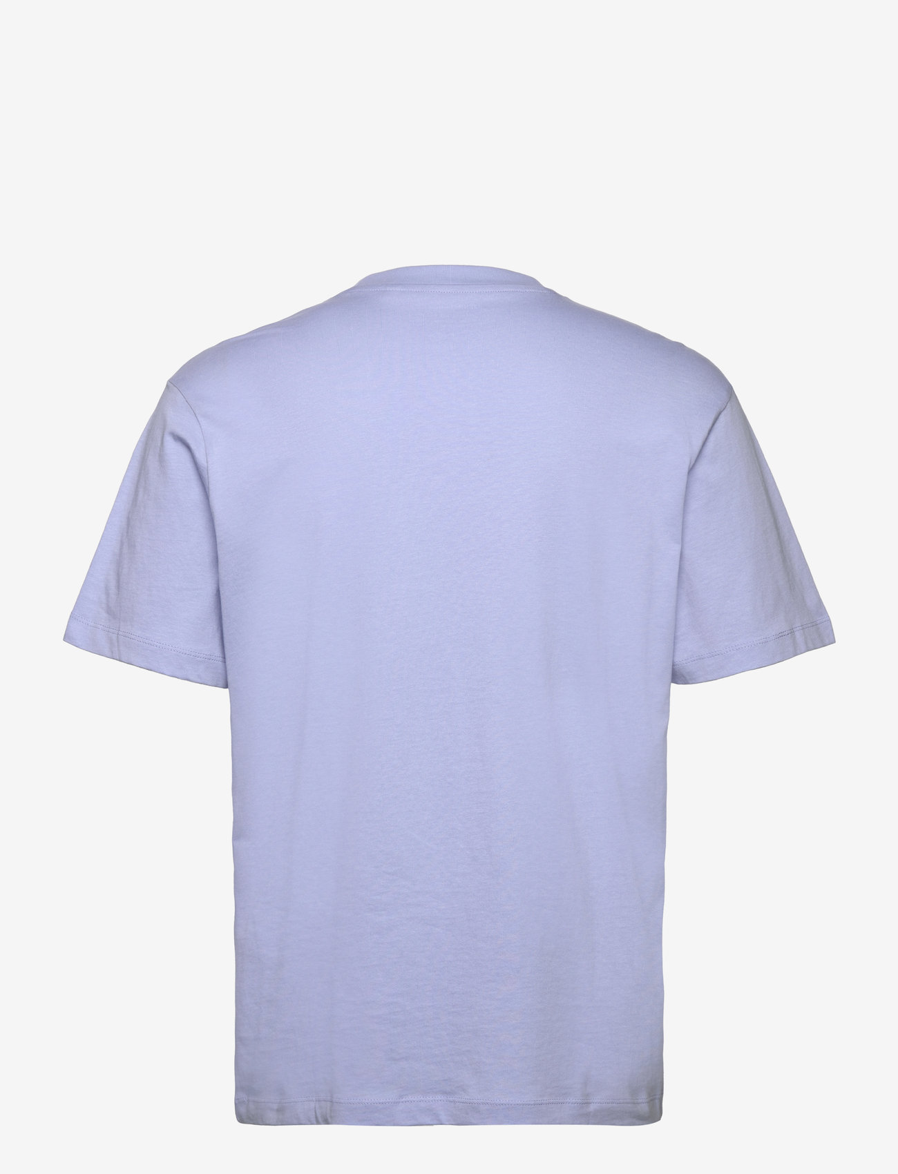 Tom Tailor - relaxed printed t-shirt - kortärmade t-shirts - brunnera blue - 1