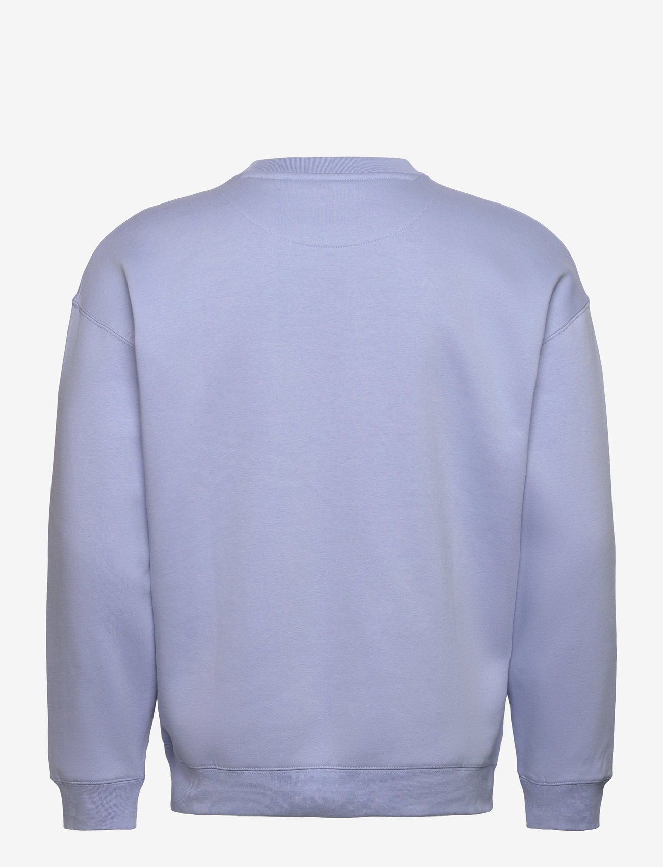 Tom Tailor - relaxed printed crewneck sweatshirt - kollektsioonid - brunnera blue - 1