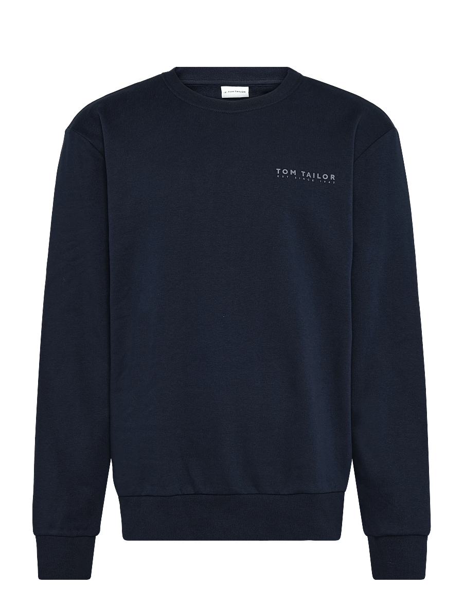 Tom Tailor - printed crew neck sweater - dressipluusid - sky captain blue - 1