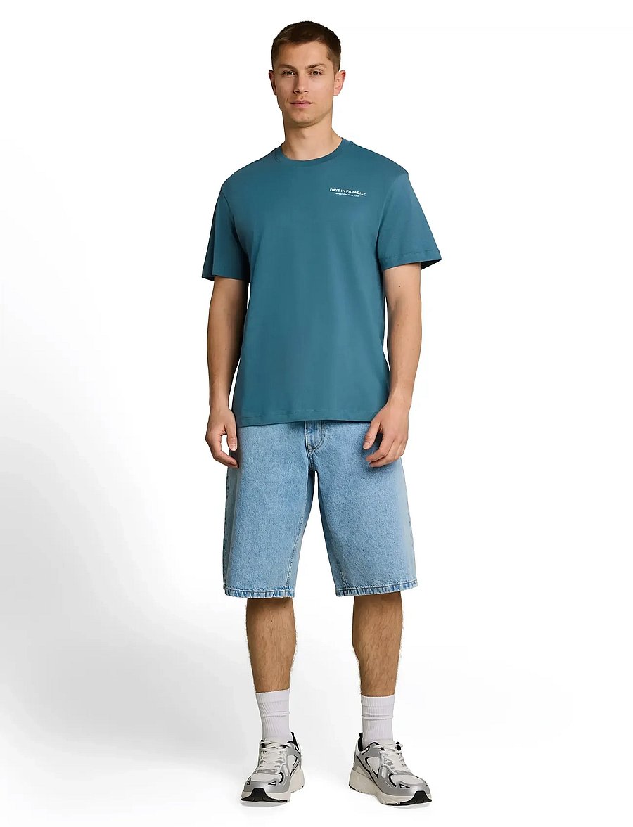 Tom Tailor - relaxed photo print t-shirt - kortærmede t-shirts - classic dust blue - 0