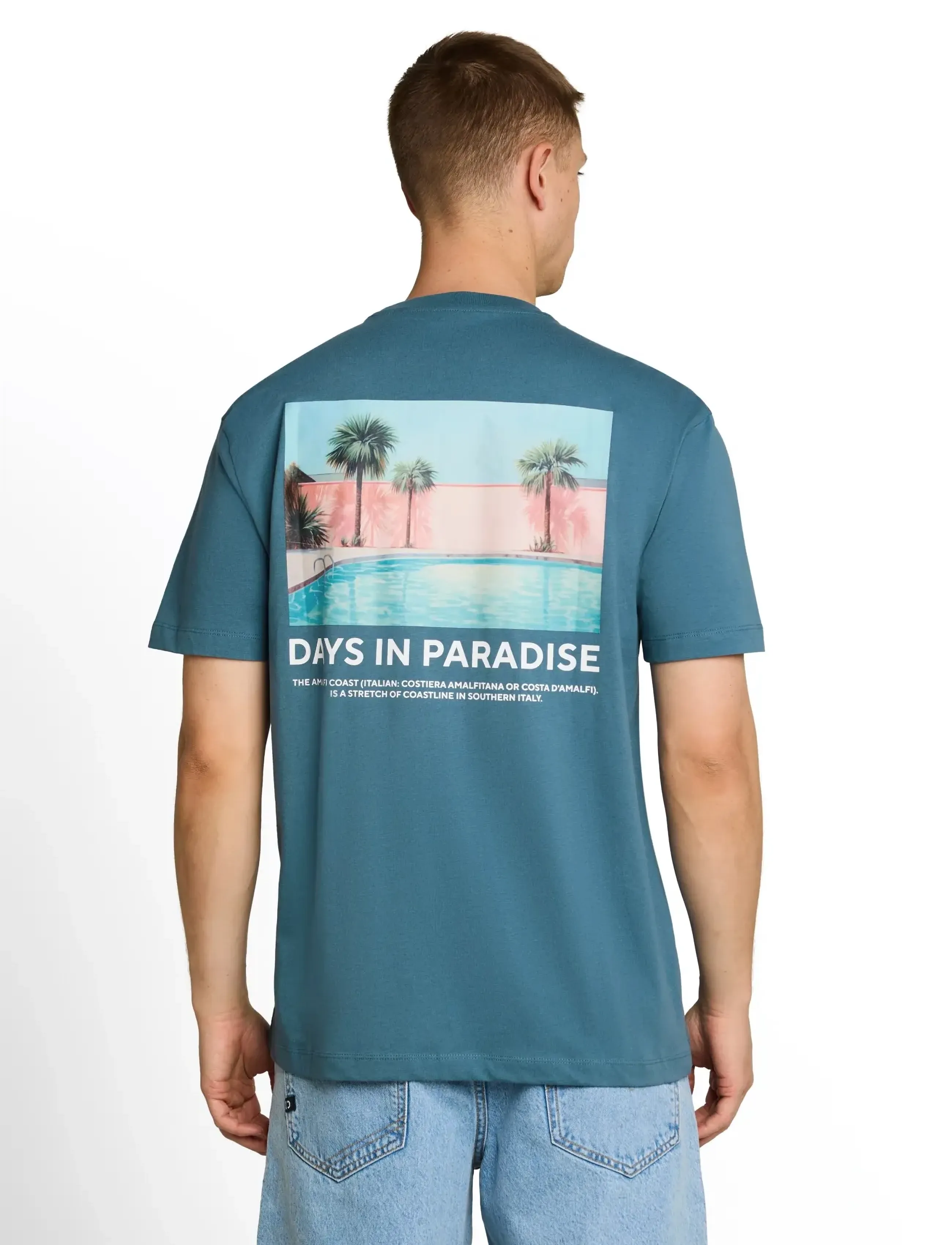 Tom Tailor - relaxed photo print t-shirt - kortærmede t-shirts - classic dust blue - 2