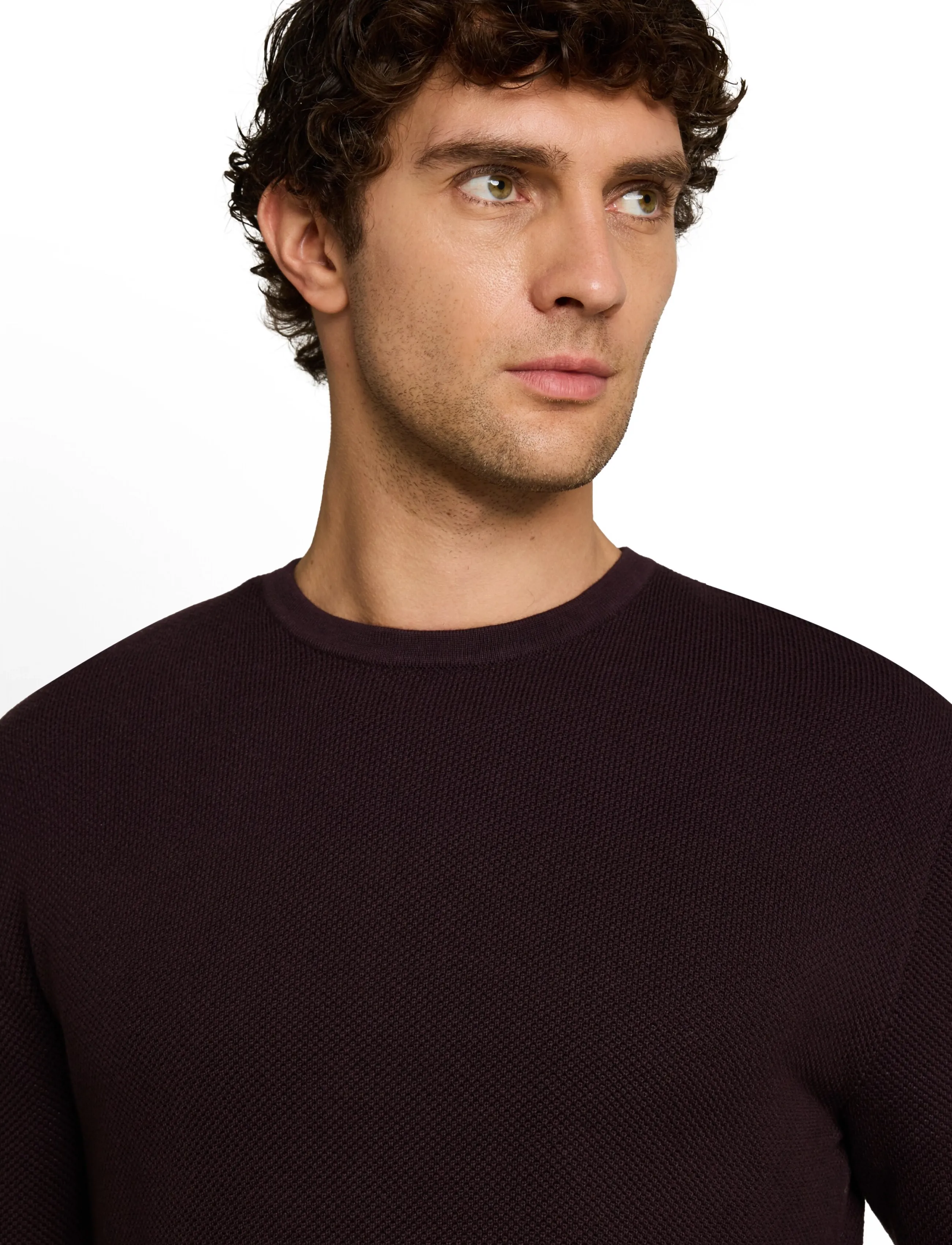 Tom Tailor - basic structred crew neck knit - Ümara kaelusega - dark plum - 4